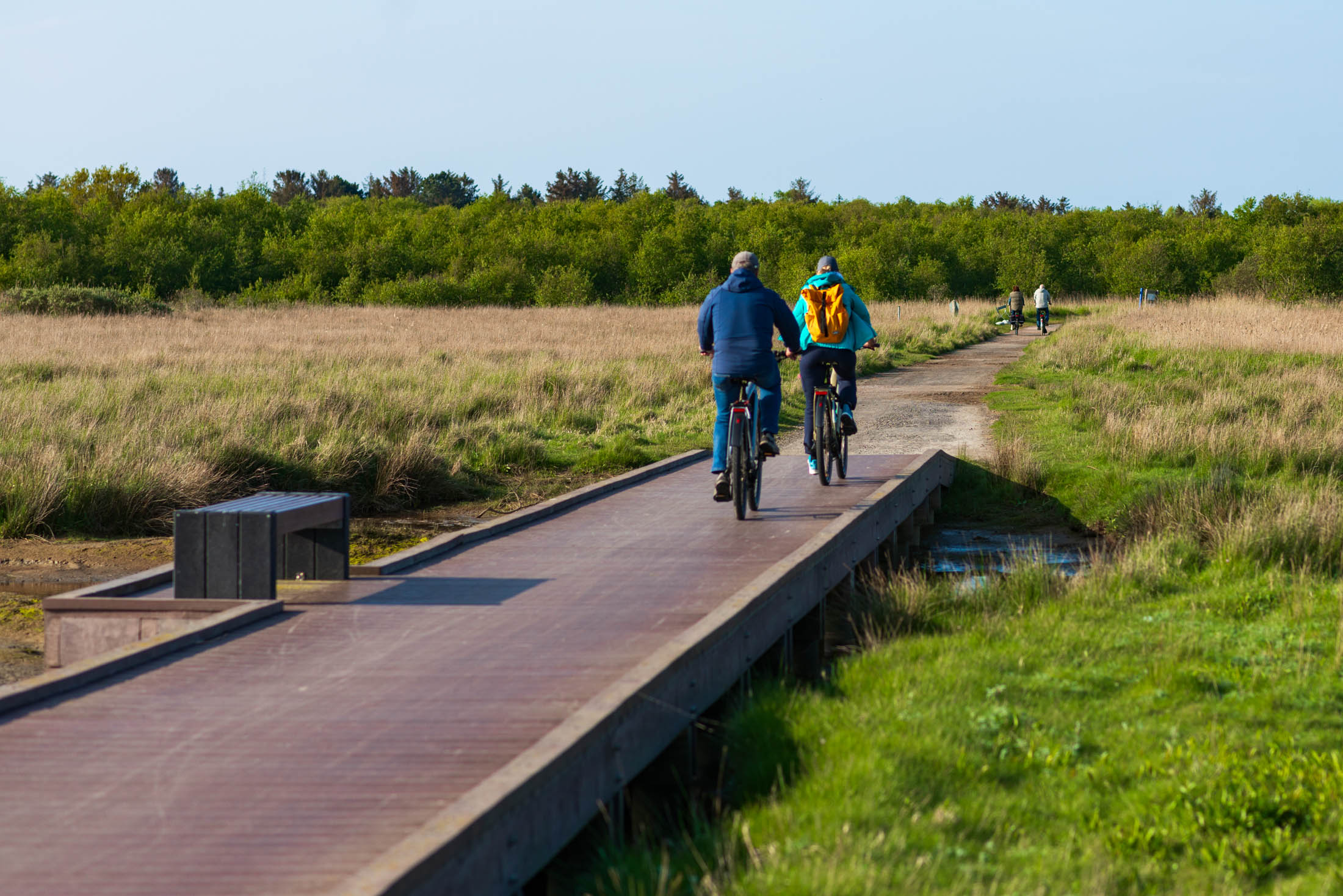 Strand und Natur – Hotel Bloemfontein Borkum