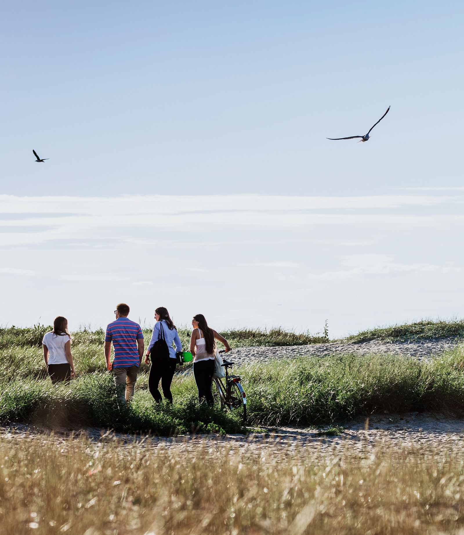 Strand und Natur – Hotel Bloemfontein Borkum