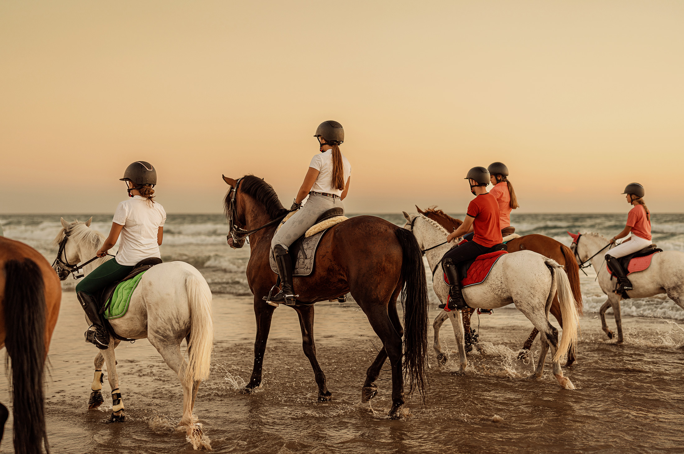 Reitstall, Strand und Natur – Hotel Bloemfontein Borkum